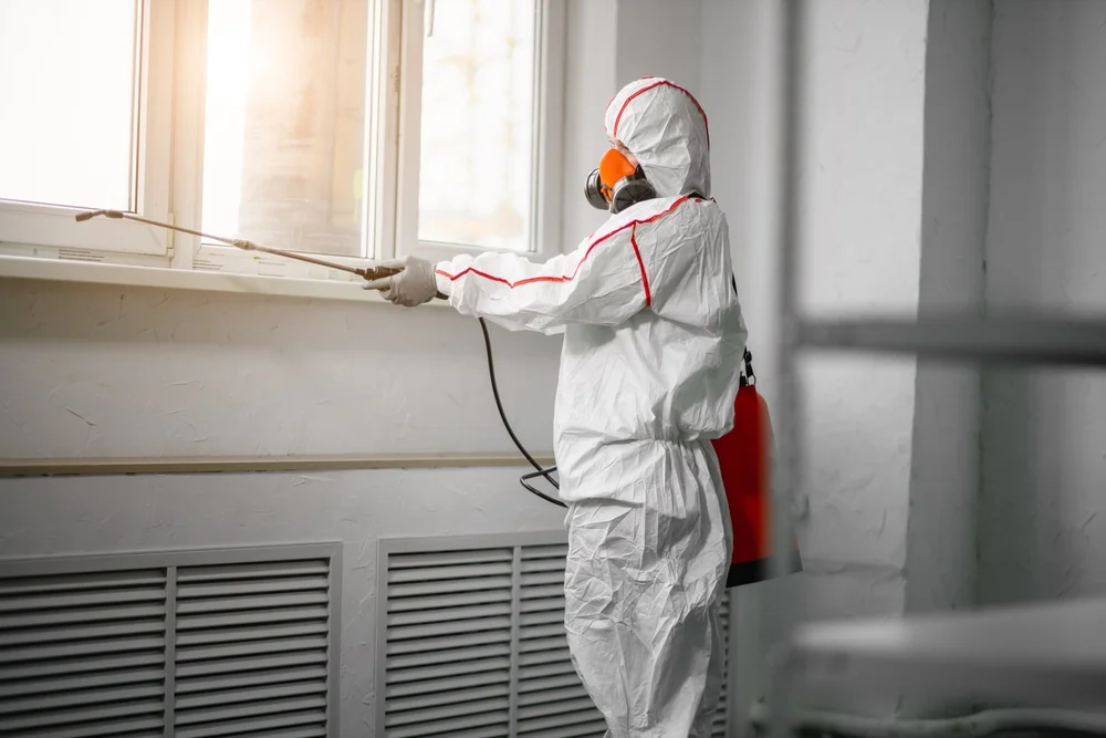 Professional mold remediation services in Gas City, IN